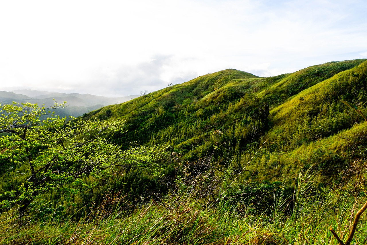 nature landscape panoramic free photo