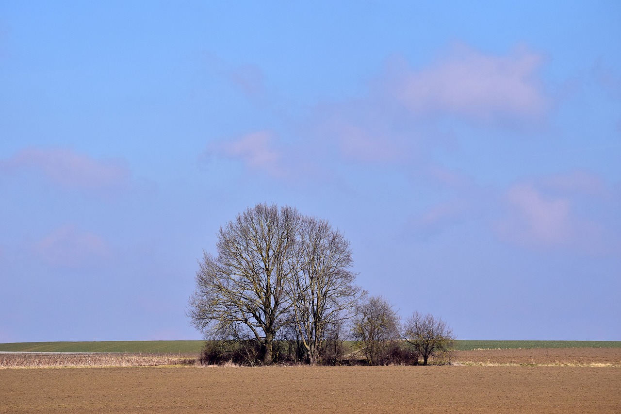 nature sky landscape free photo