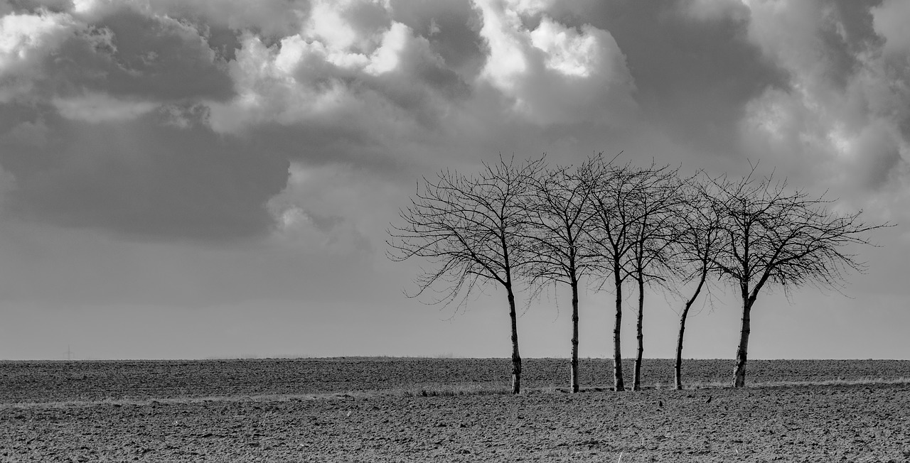 nature landscape panorama free photo