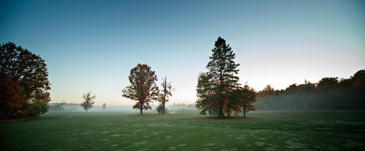 nature panoramic tree free photo