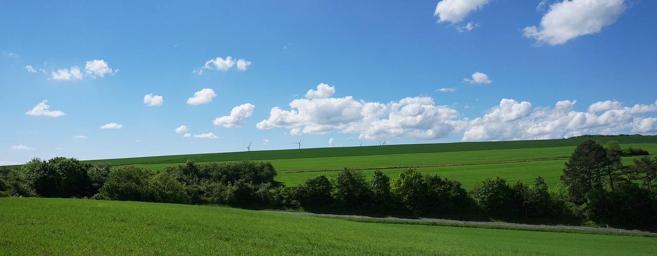 nature panorama summer free photo