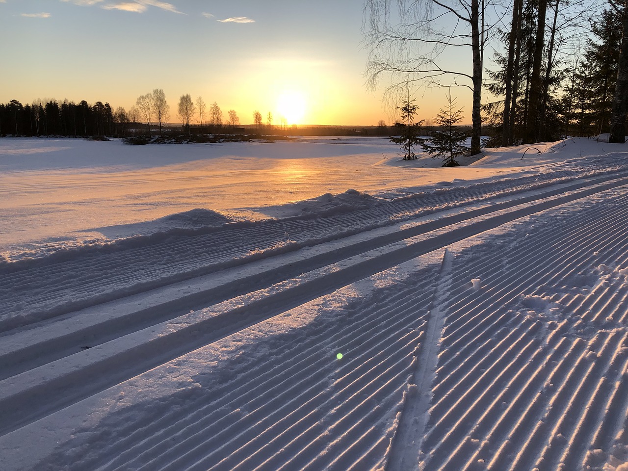 nature winter frost free photo