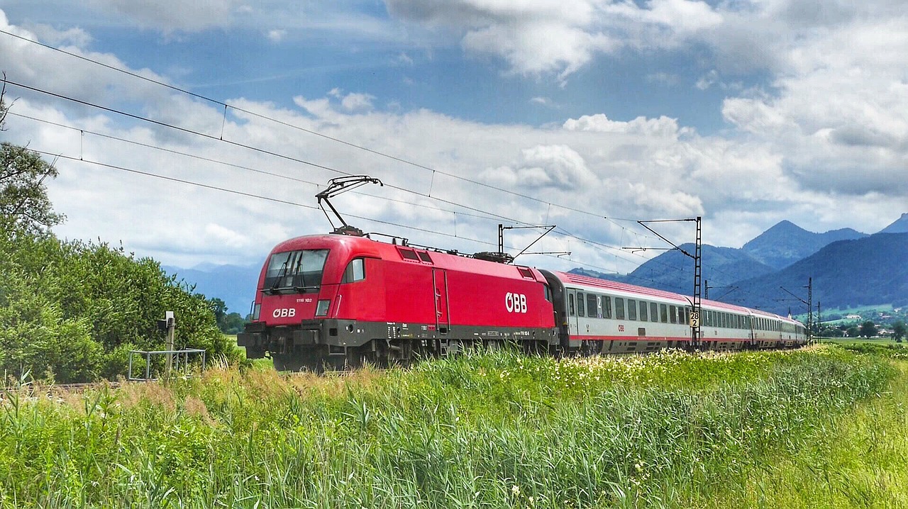 nature transport system grass free photo