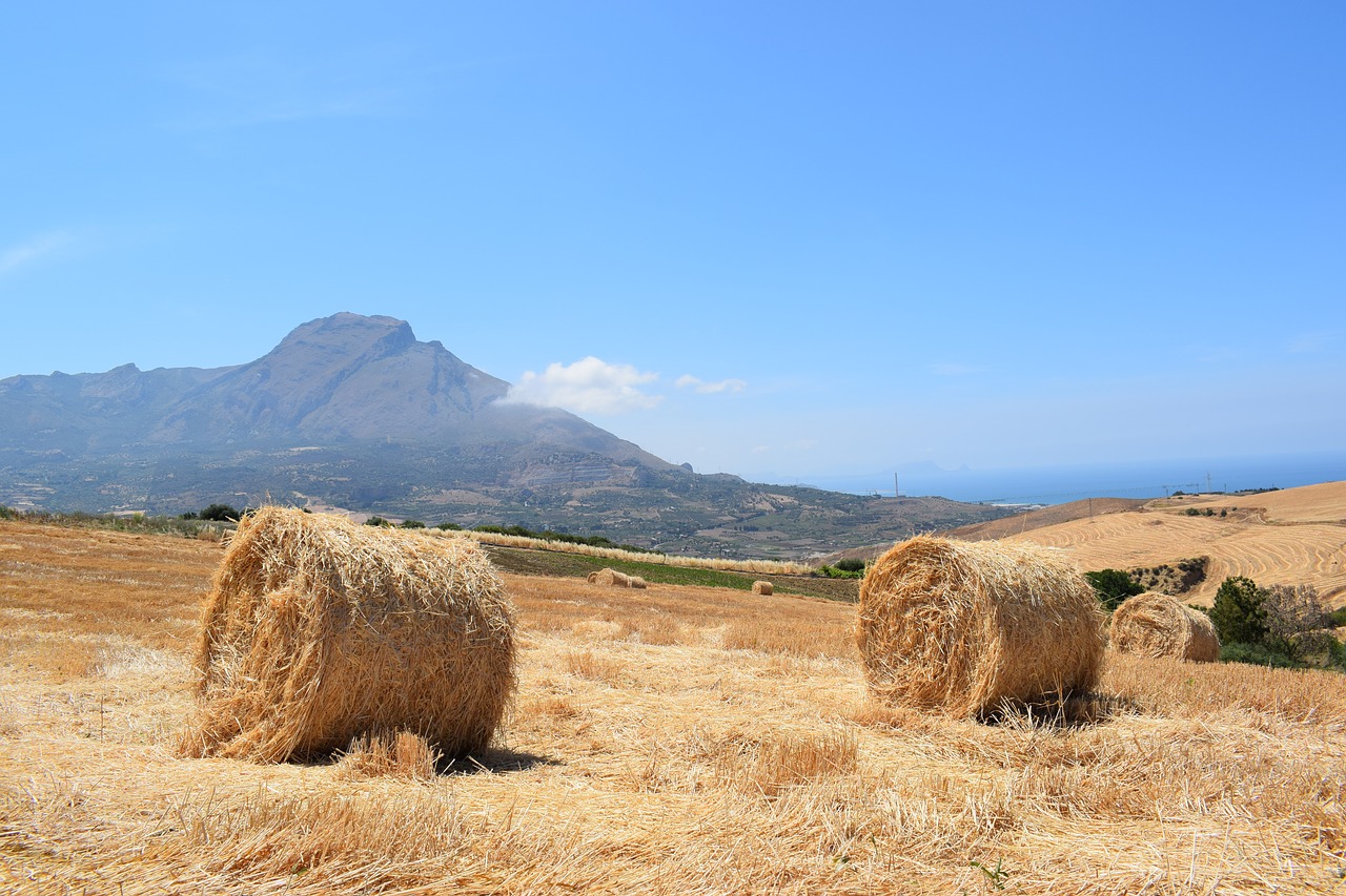 nature outdoors rural free photo