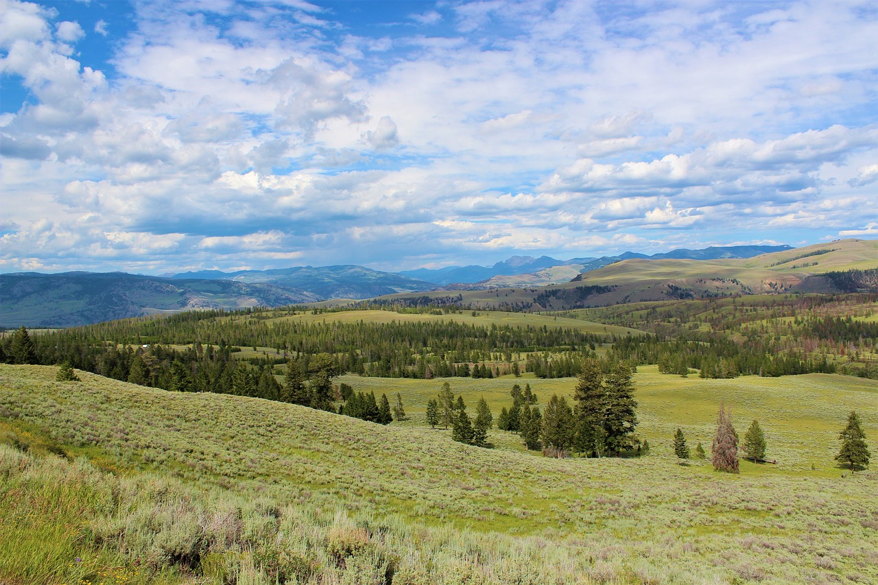 nature landscape sky free photo