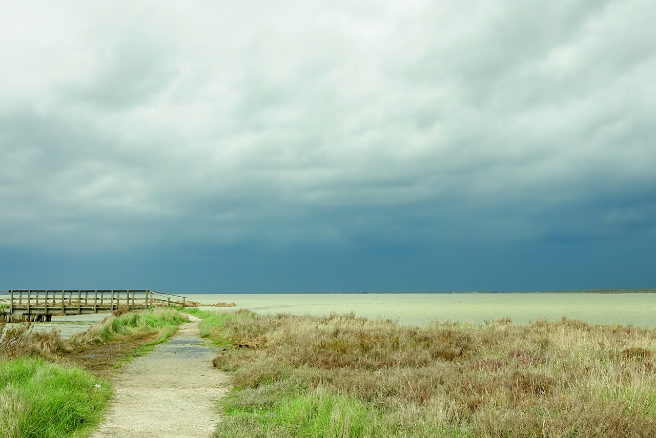 nature sky grass free photo