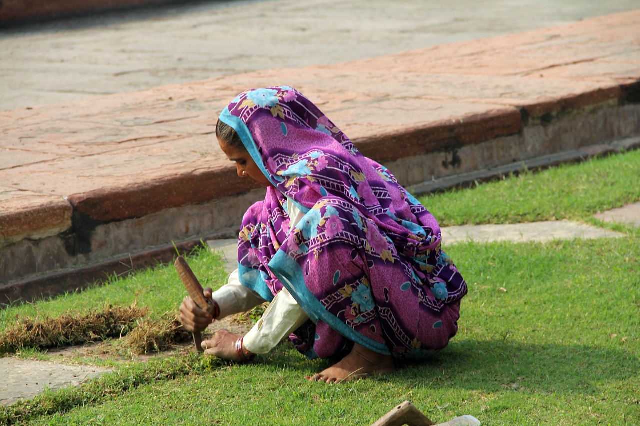 nature outdoors lawn free photo