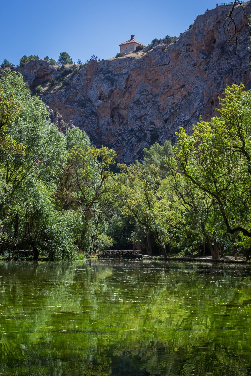 nature body of water tree free photo