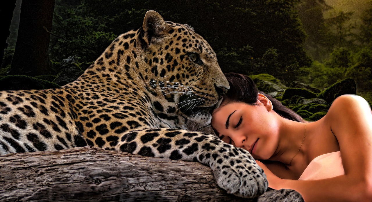 nature leopard woman free photo