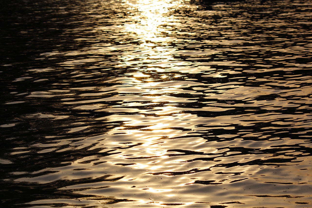 nature water reflection free photo