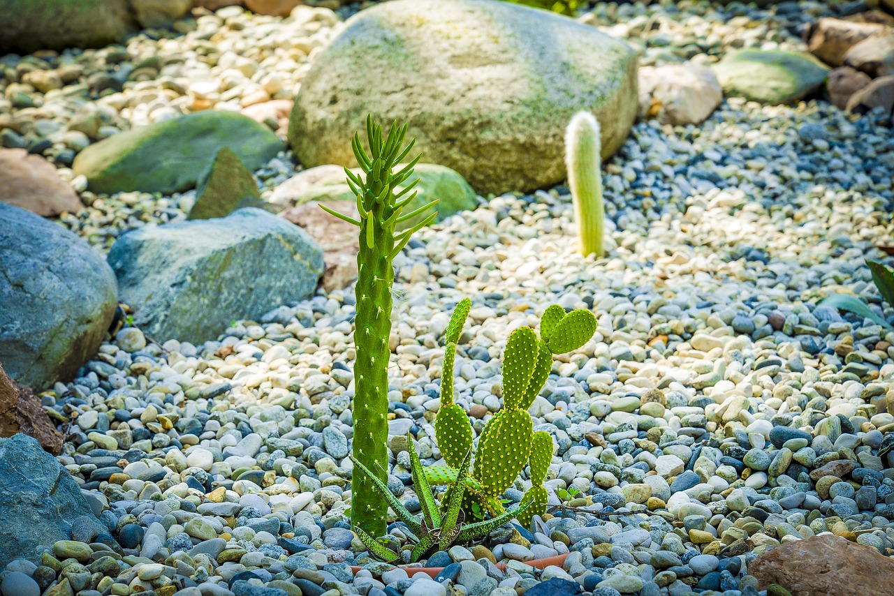 nature water stone free photo