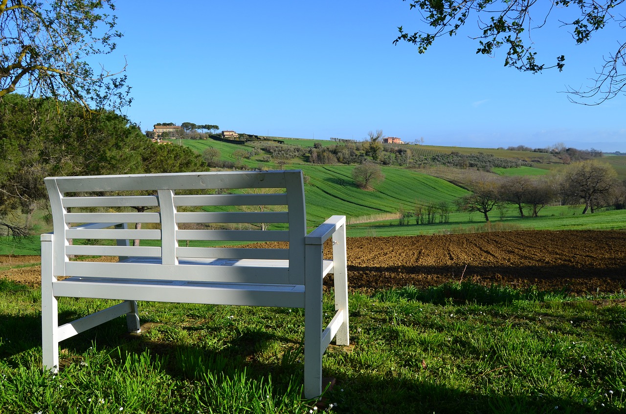 nature bench spring free photo