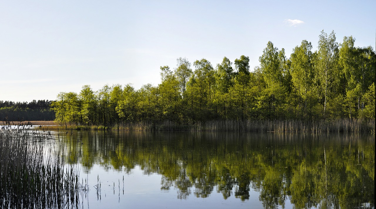 nature monolithic part of the waters the wave is reflected free photo