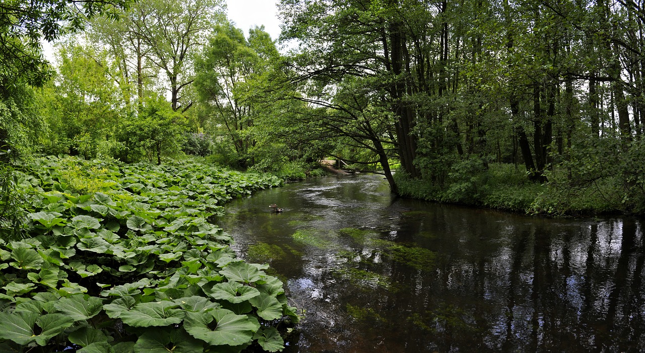 nature monolithic part of the waters landscape free photo