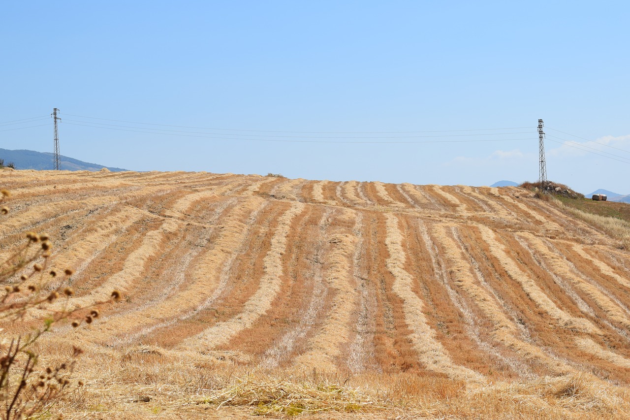 nature landscape soil free photo