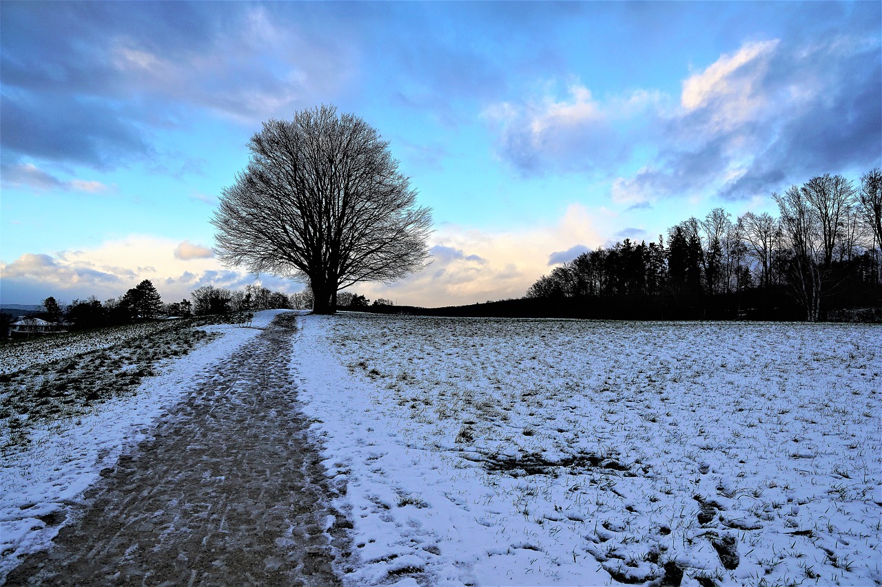 nature landscape sky free photo