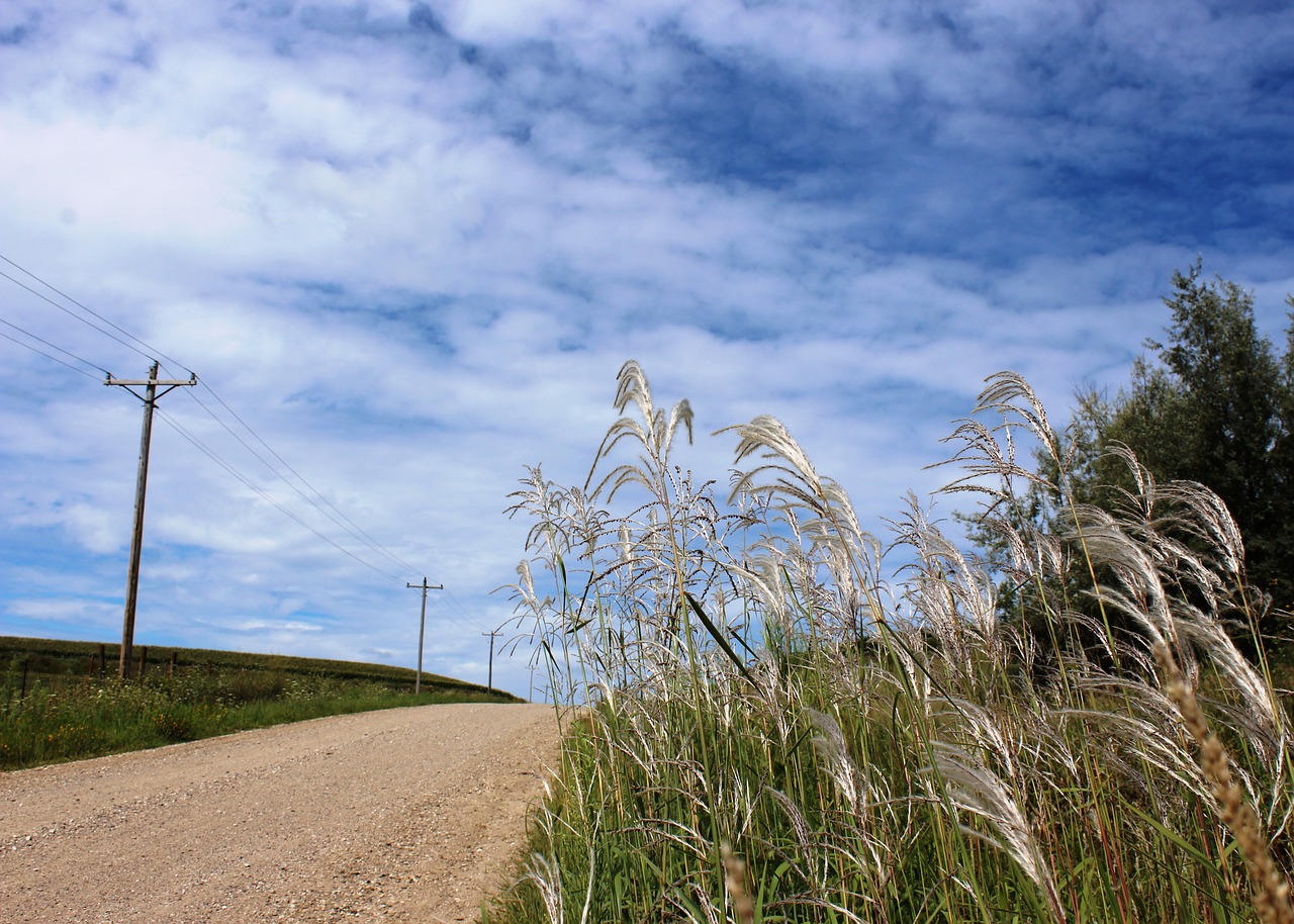 nature grass sky free photo