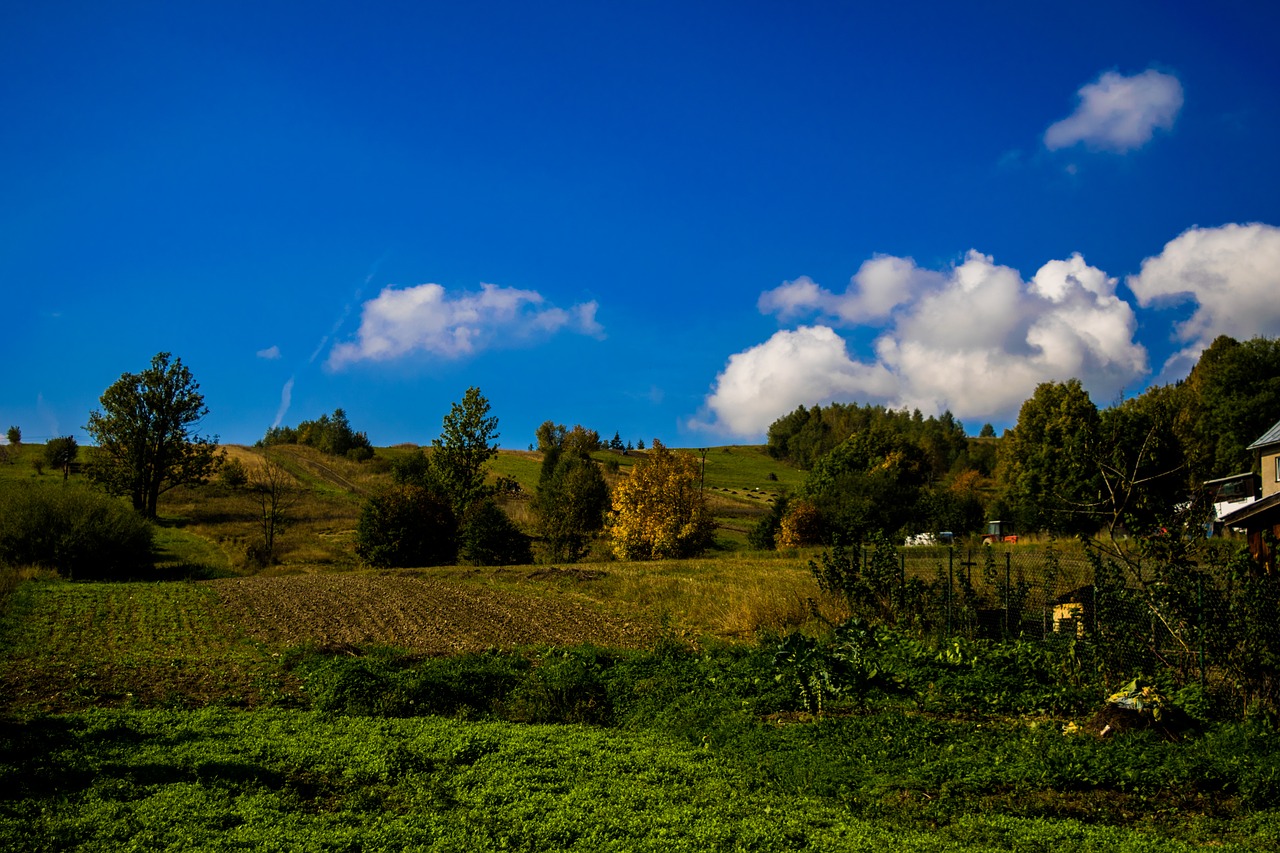 nature  clouds  sky free photo