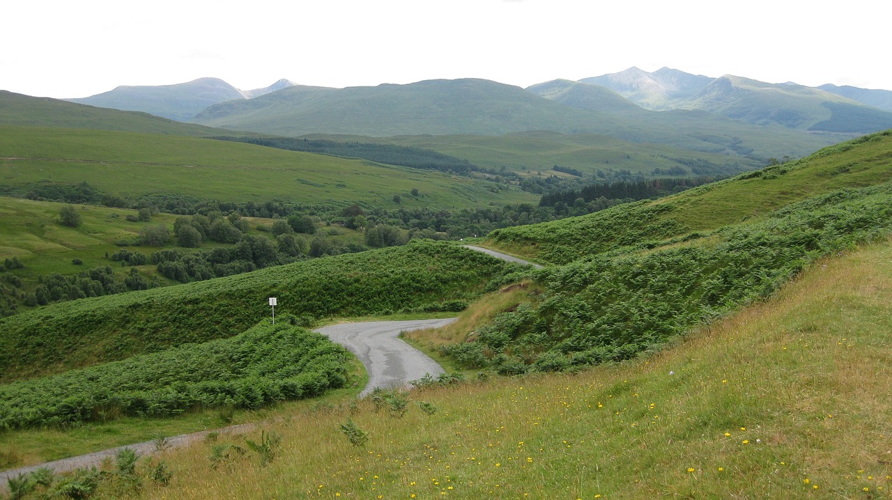 nature  landscape  hill free photo