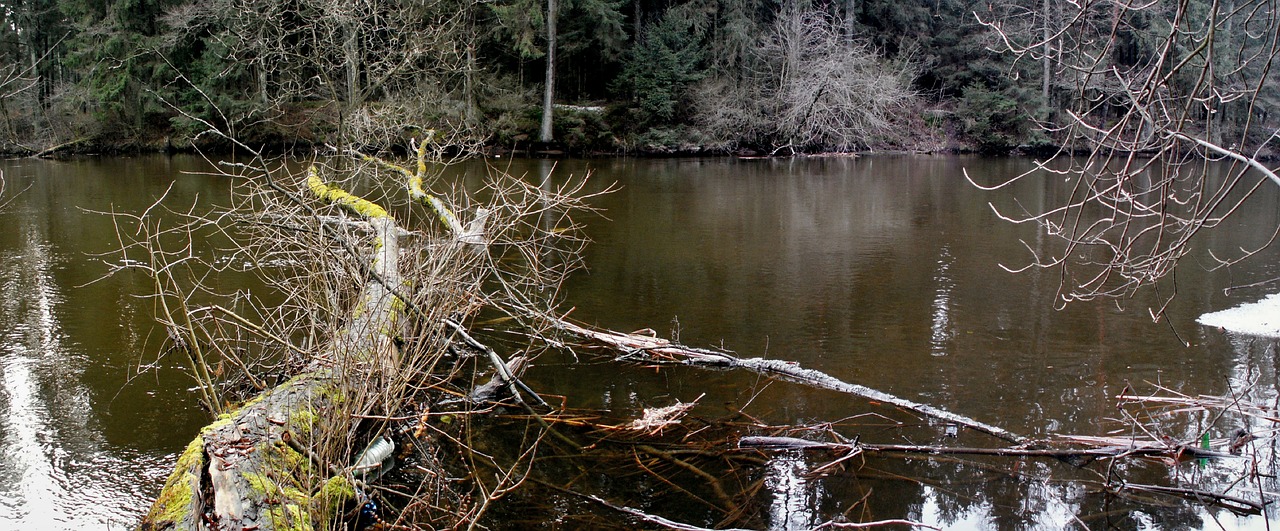 nature  monolithic part of the waters  at the court of free photo