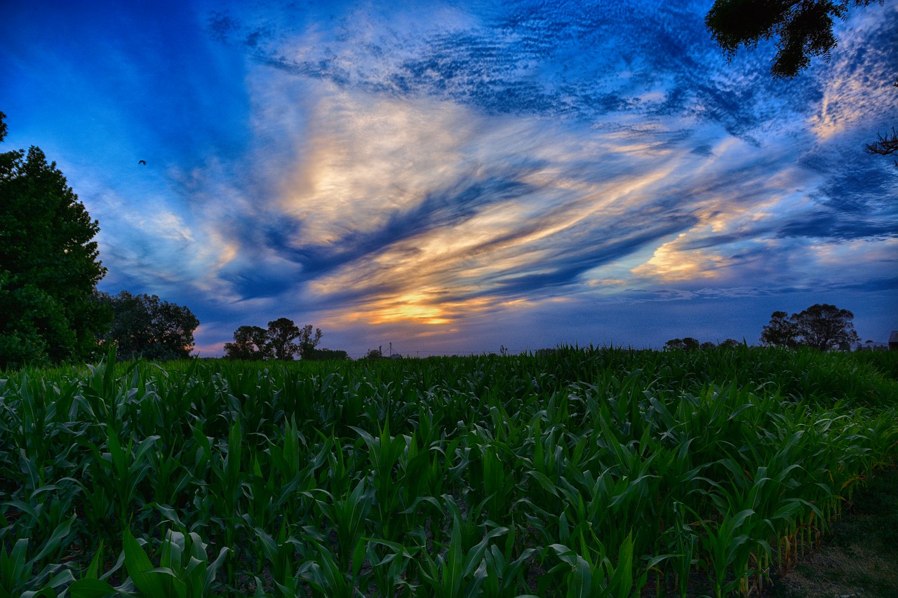 nature  sun  sky free photo