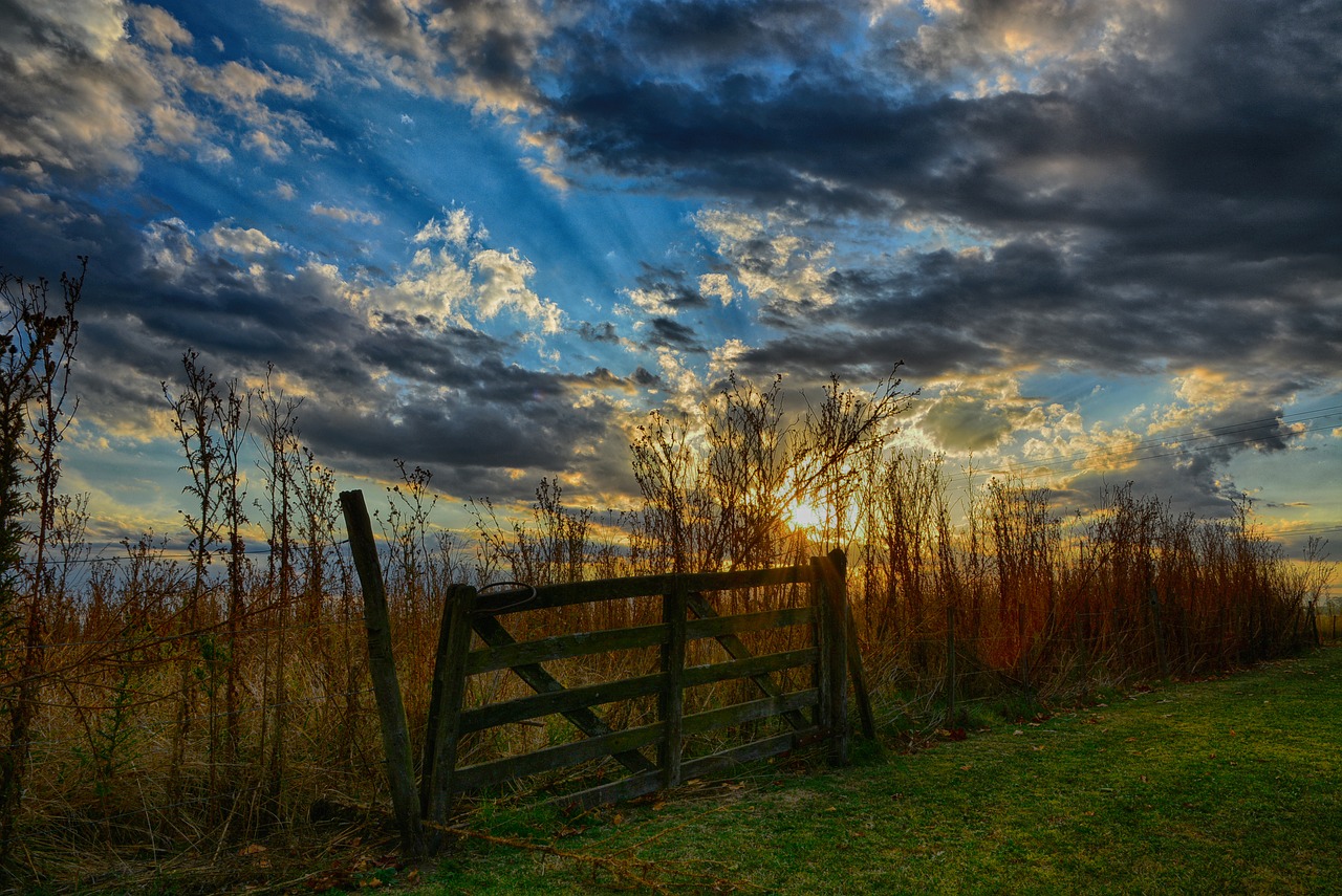 nature  landscape  wood free photo