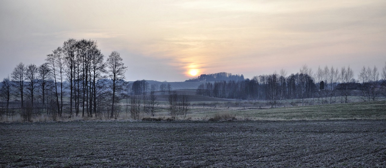 nature  panoramic  the dawn family free photo