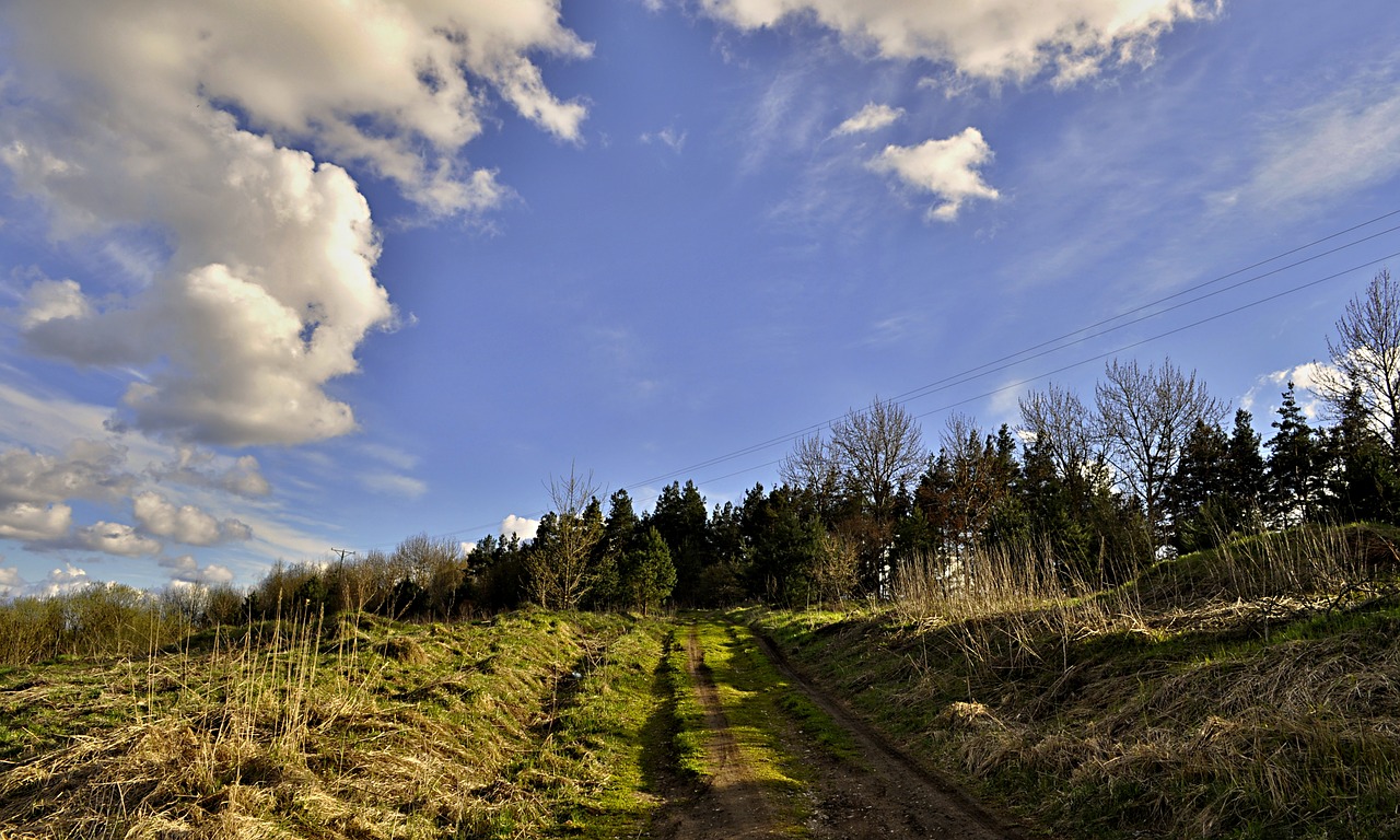 nature  panoramic  sky free photo