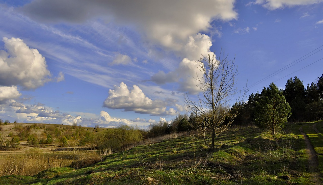 nature  panoramic  sky free photo