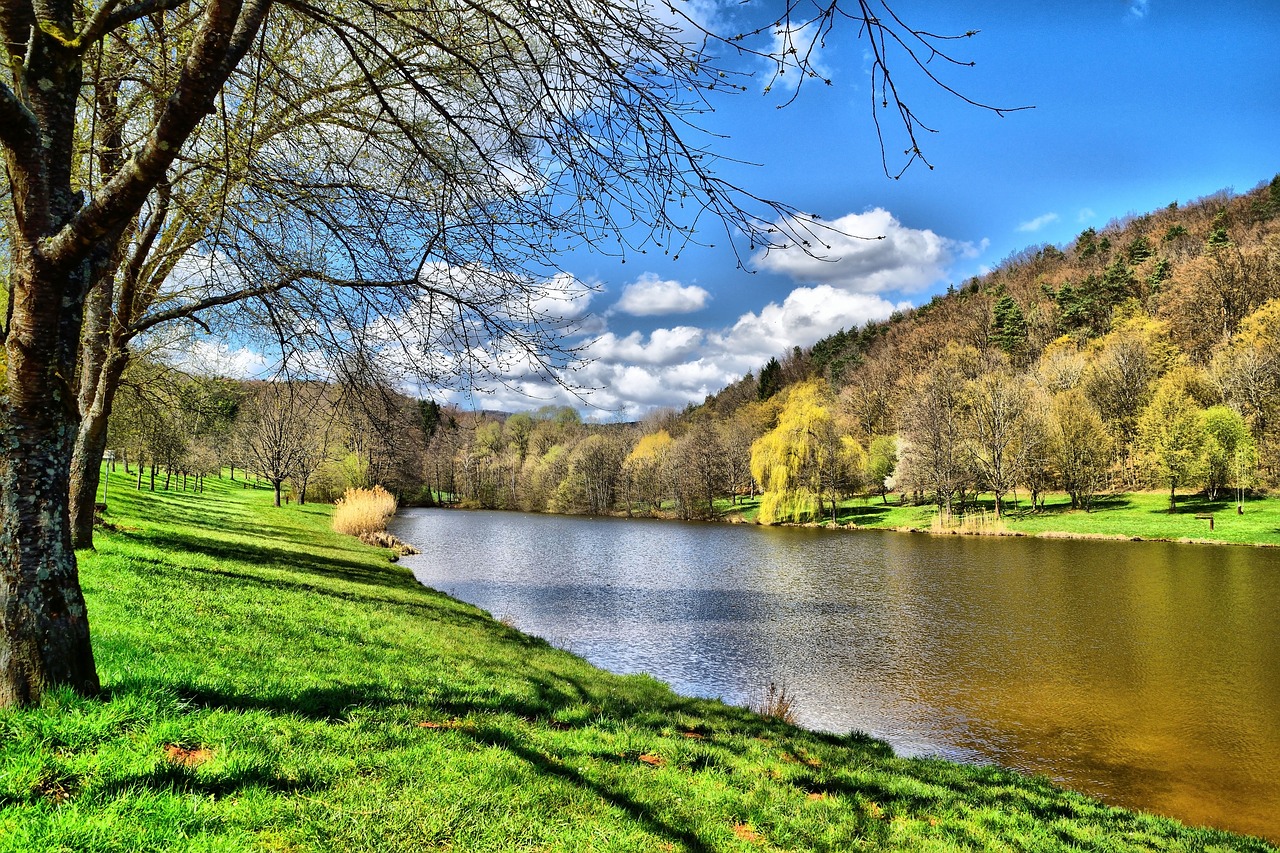 nature  landscape  grass free photo