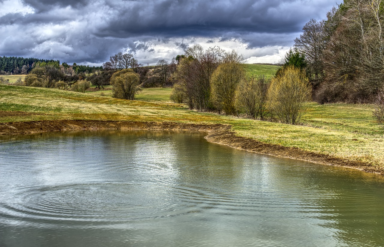 nature  waters  reflection free photo