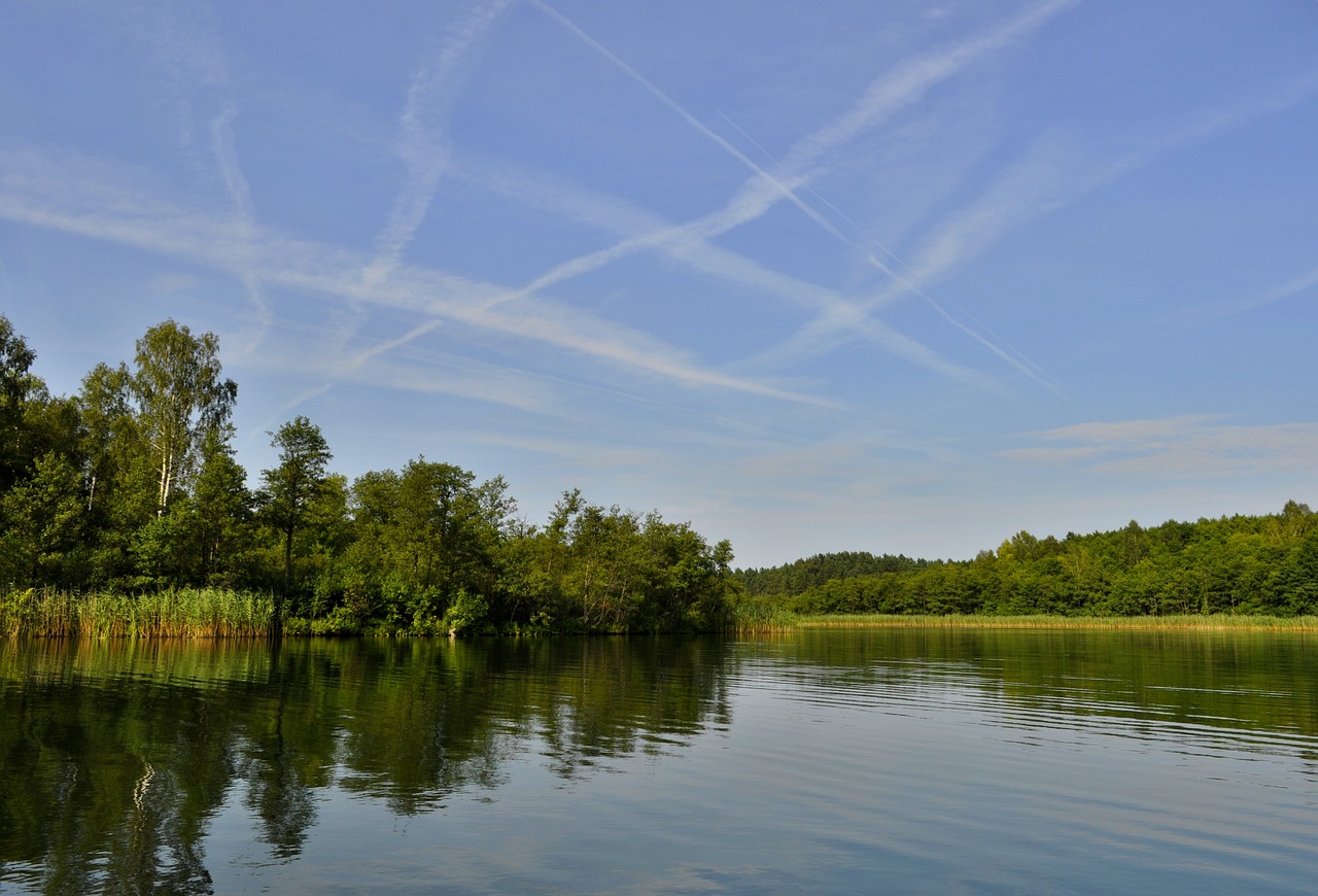 nature  the wave is reflected  monolithic part of the waters free photo