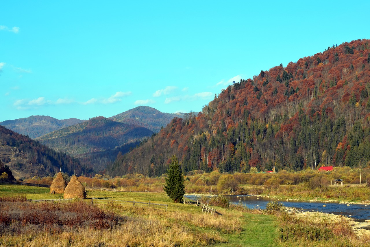 nature  mountain  landscape free photo