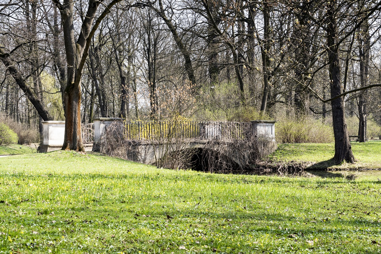 nature  spring  bridge free photo