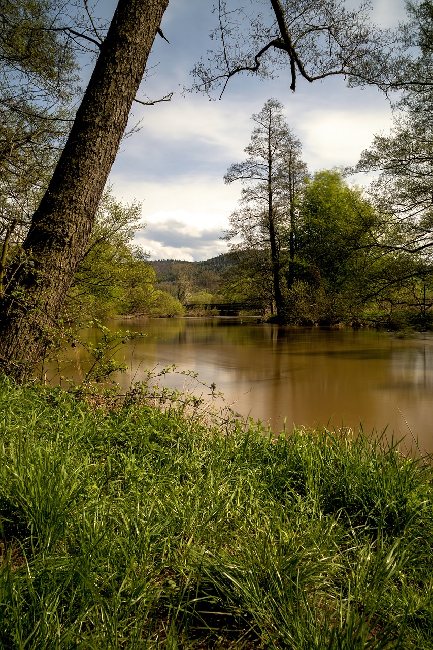 nature  waters  landscape free photo