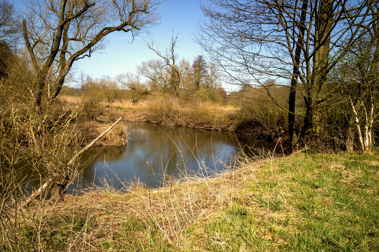 nature  landscape  waters free photo