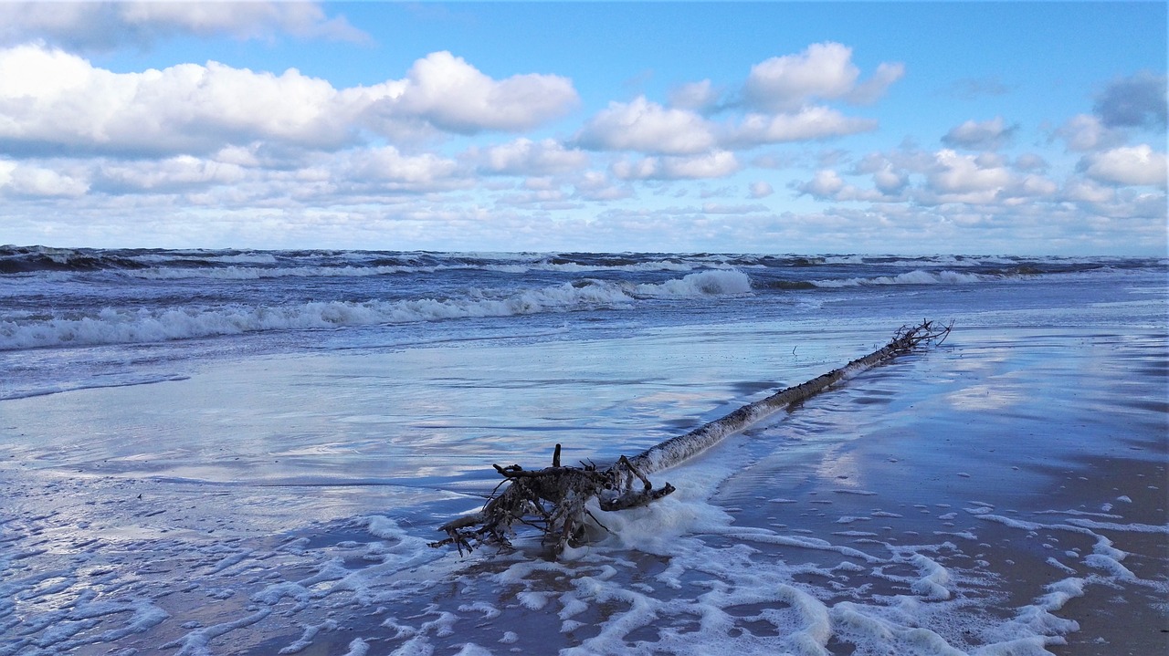 nature  sea  storm free photo