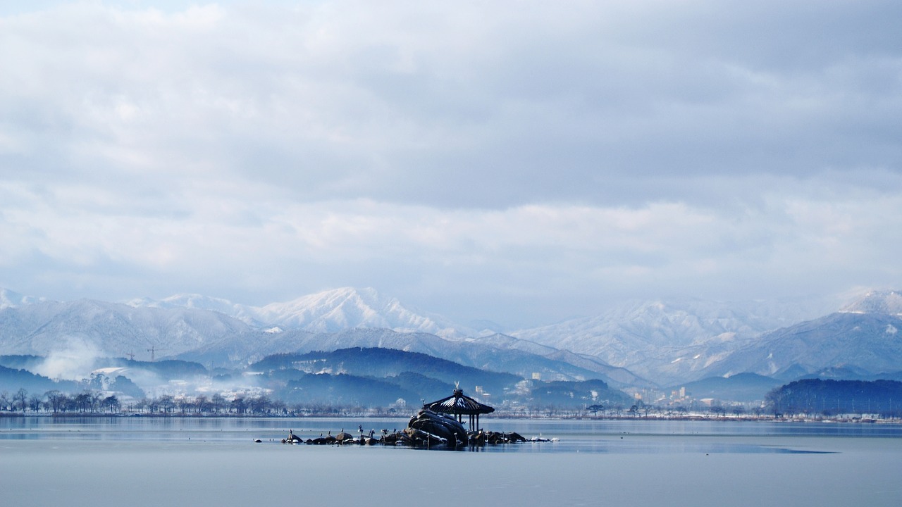 nature  winter  snow free photo