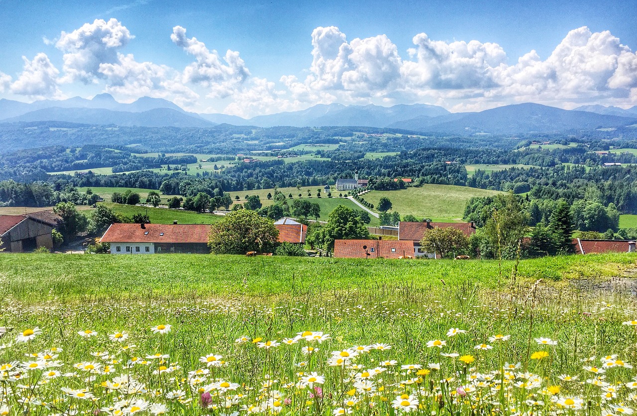 nature  landscape  field free photo