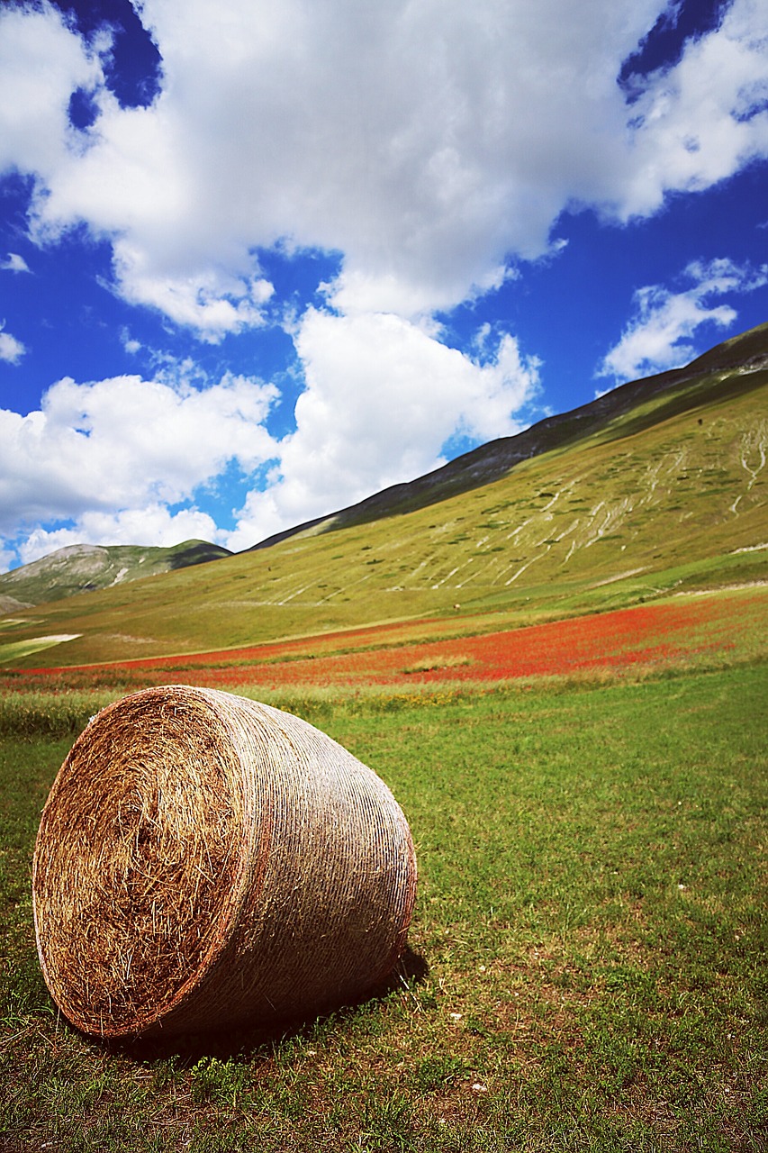 nature  sky  outdoors free photo