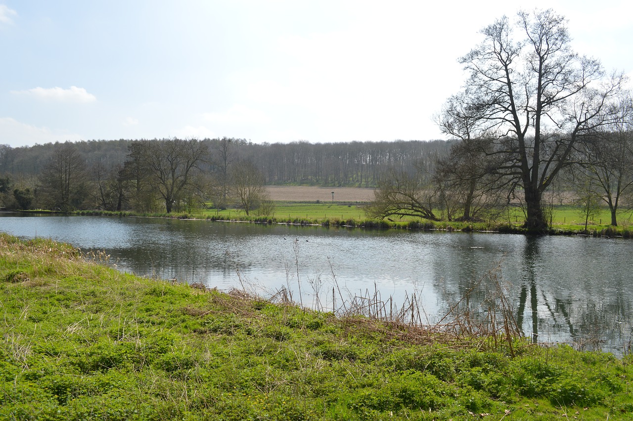 nature  water  panoramic free photo