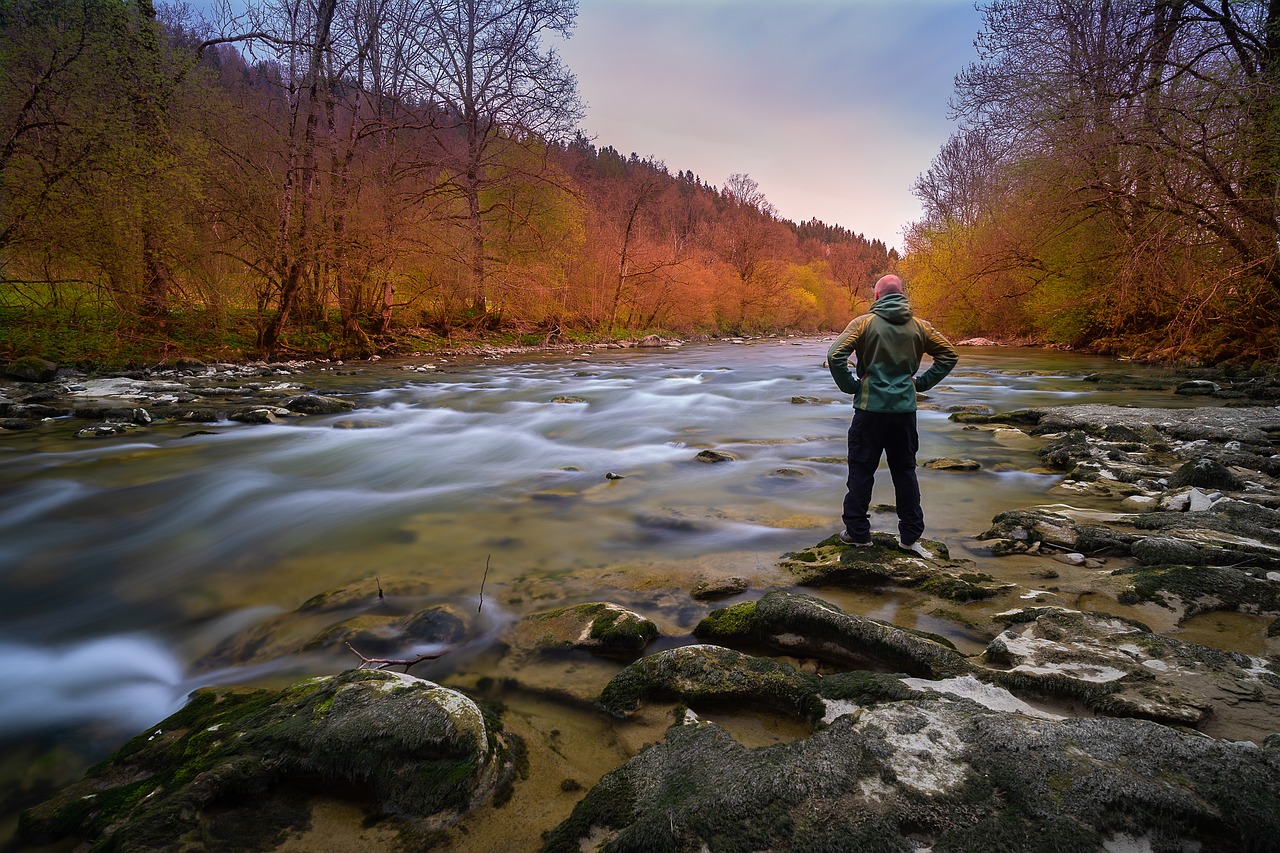 nature  autumn  waters free photo