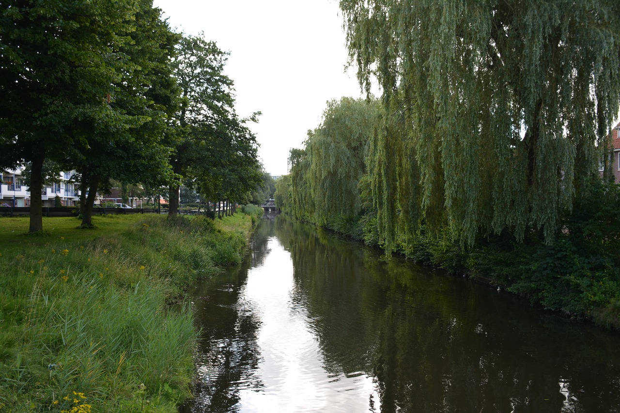 nature  body of water  landscape free photo