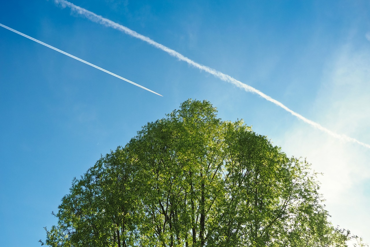 nature  landscape  sky free photo