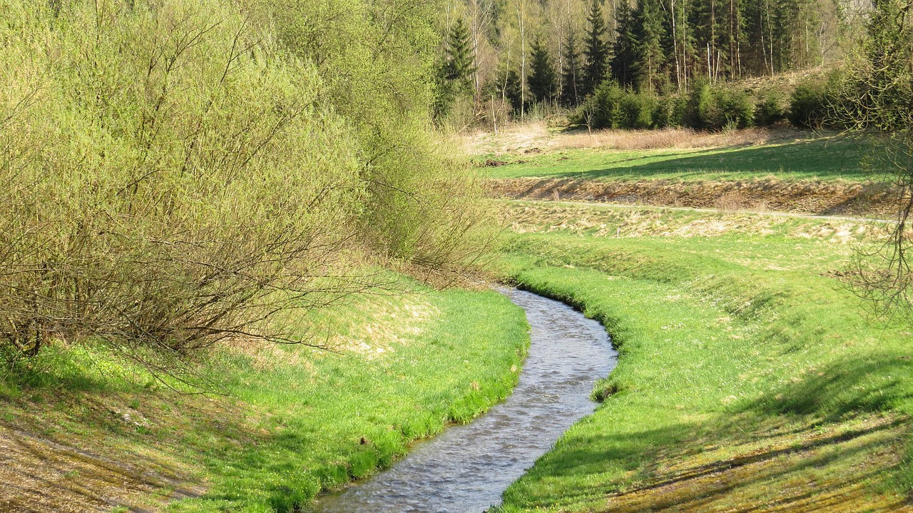 nature  grass  landscape free photo