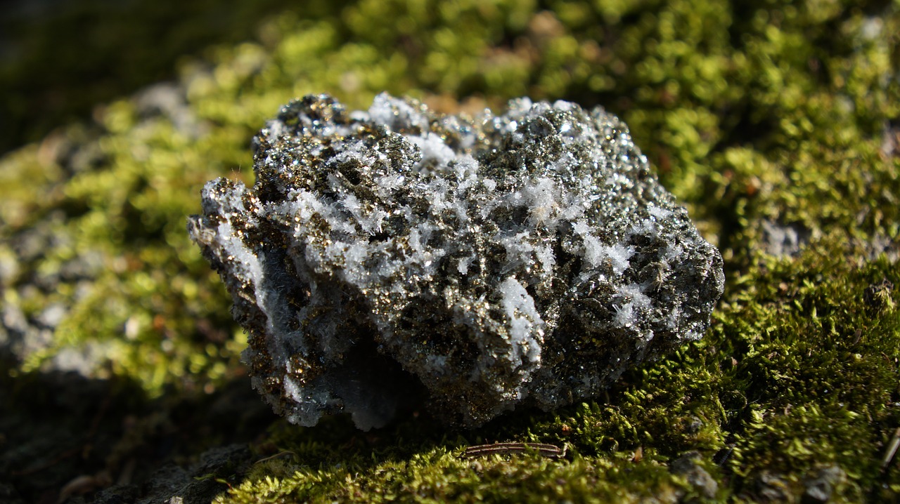 nature  rock  moss free photo