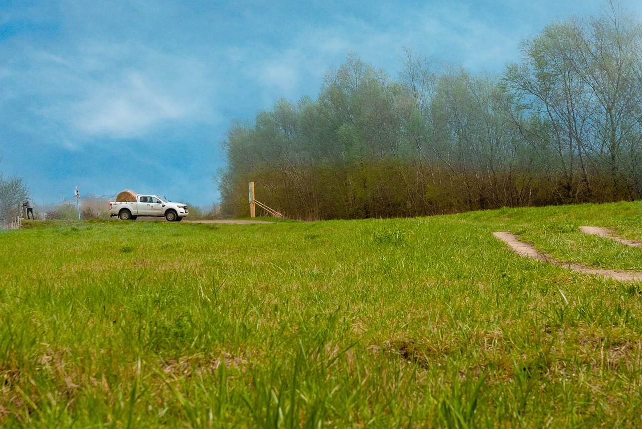 nature  field  prairie free photo