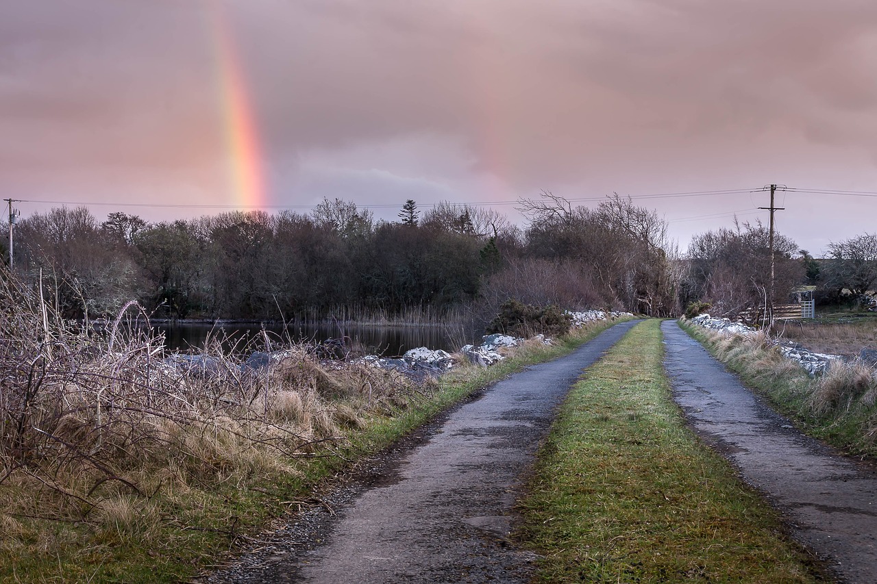 nature  landscape  outdoors free photo