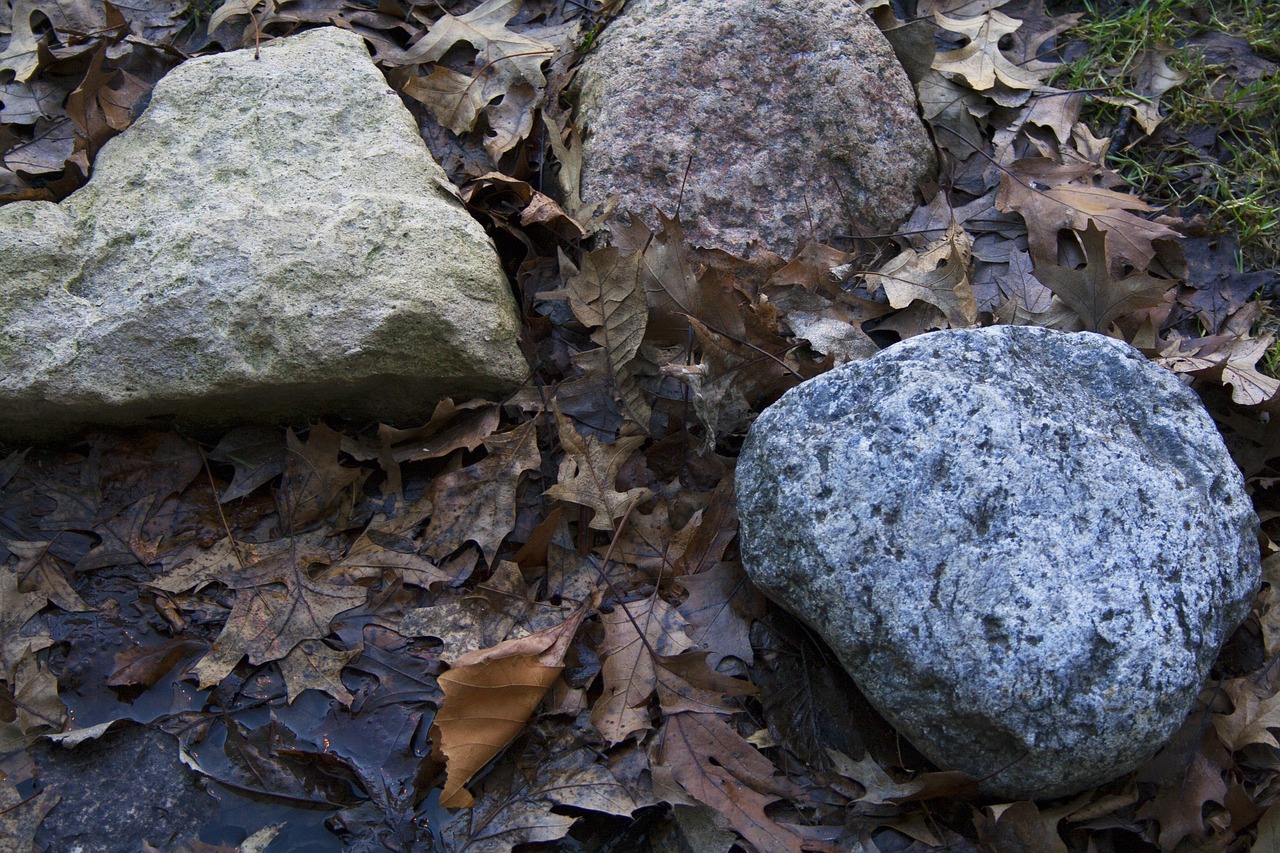 nature  stone  rock free photo