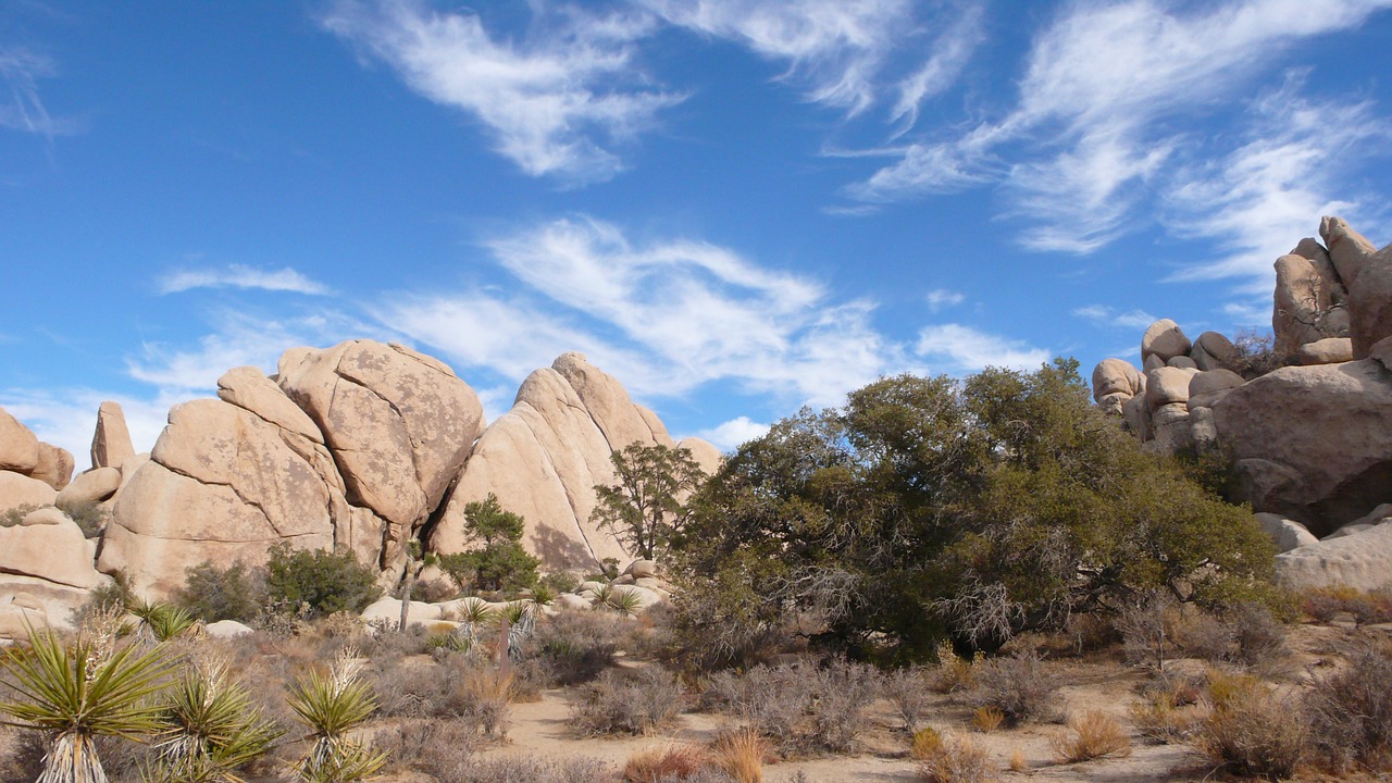 nature  sky  landscape free photo